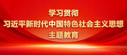 好屌射免费视频学习贯彻习近平新时代中国特色社会主义思想主题教育_fororder_ad-371X160(2)